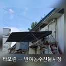 금성농수산물