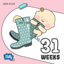 명학로 33번길27 | 임신 후기 31주~34주 배크기 부부요가 백일해 역아 태동검사 그리고 아기 빨래 시작