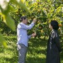 향단농장 이미지