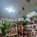 닮아가다 이미지