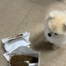 조이앤프레쉬