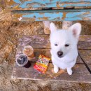 GS25 강화동막점 이미지