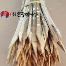 [한국 대나무] 보식재조림 대나무 표시봉