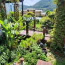 소요생활체육공원 풋살구장 | 거제펜션 '리틀포레스트 1호점'