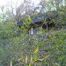 화순 한후정 이미지