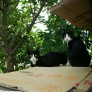 GS25군산IC점 이미지