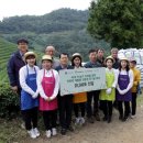 보성신옥로제다 이미지