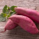 랩스 월평점 이미지