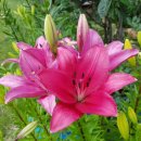 경인무예원 이미지