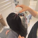 나성전기 | '스파오라스칼프 세종나성점' 지성두피 각질제거/엉킨머리 케어 후기