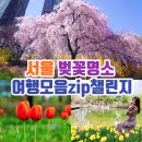 서울 벚꽃명소 벚꽃축제 벚꽃개화시기 가볼만한곳 5 이미지