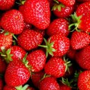 엔젤맘어린이집 이미지