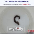 냇물 이미지