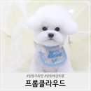 프롬 클라우드 이미지