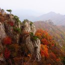 2019-주104 이미지