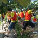 신구리농장 이미지