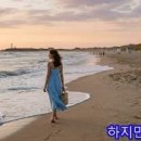 PLAGE Daum카페