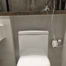 스위트보보