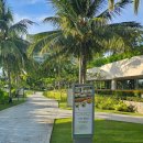 동쓰푸드 | 추석 나트랑 -10월 4일) 알마리조트 하루종일 수영 워터파크 즐김 - 저녁 깜란 엠어이