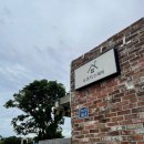 누코지스테이 이미지