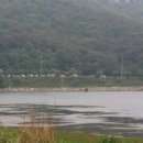 고남저수지 이미지