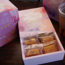 완벽한인생 이미지