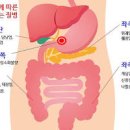 명치 위 통증 명치 아래 누르면 통증 답답함 아픔 명치 왼쪽 오른쪽위치 이미지