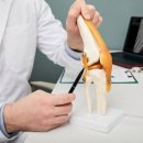 365튼튼의원 이미지