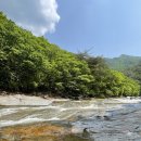 8월 홍천 백우산-용소계곡 물놀이 산행 공지 이미지