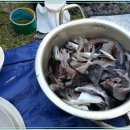 대도낚시 이미지