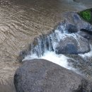 아름다운농장 이미지