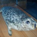 영덕어촌민속전시관 이미지