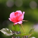 노블레스 오블리주 이미지