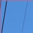 김영조피부과의원 이미지