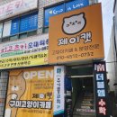 구미 고양이카페 분양 제이캣 이미지