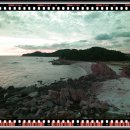 풀잎사랑 이미지