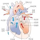 스포츠지도사 2급 - 운동생리학 이미지