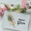 담꽃 이미지