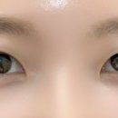 비마이래쉬