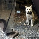 구야농원 | 거제 캠핑장 거제문화관광농원 오토캠핑장