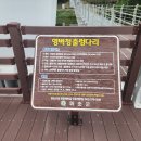 한천교 앞 네이버블로그