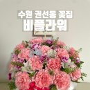 766 | 수원꽃다발 찾다가 반한 권선동꽃집 비플라워 카네이션 꽃바구니 후기