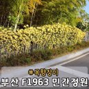 강변주유소 화장실 | 부산 가볼만한 곳 F1963 민간정원 달빛정원 대나무숲 위치 가는법