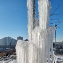 영림농장 이미지