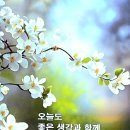 달님 Daum카페