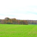 유럽농장 이미지