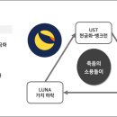 스테이블디 이미지