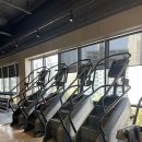 보스휘트니스 이미지