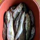 성복호