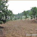 새재공인중개사사무소 이미지